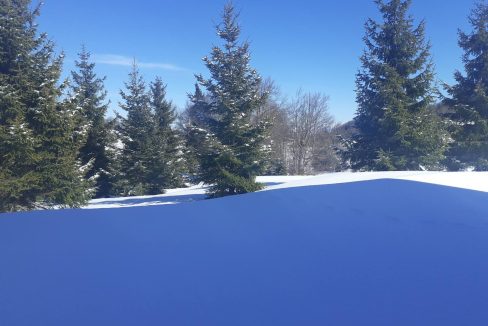 golija-danas-13.02.2020-05