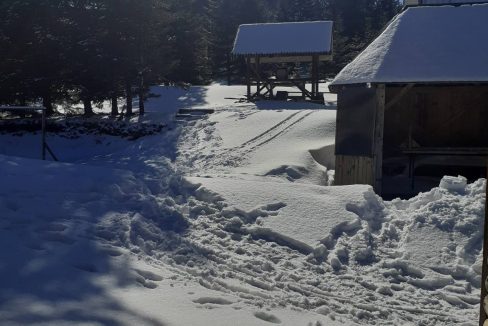 golija-danas-13.02.2020-08