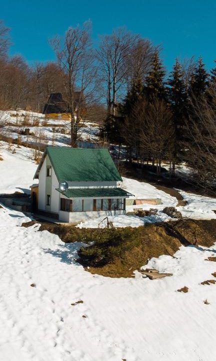 vikendica-golijski-vuk34