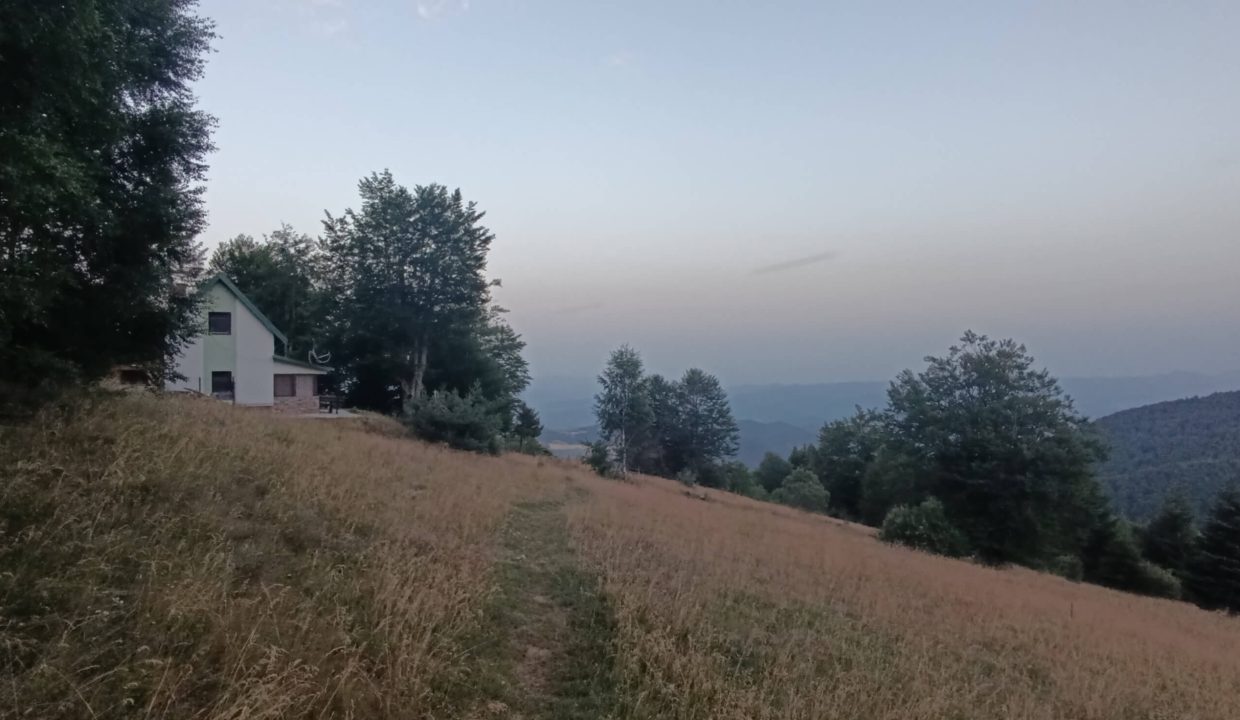 vikendica-golijski-vuk40