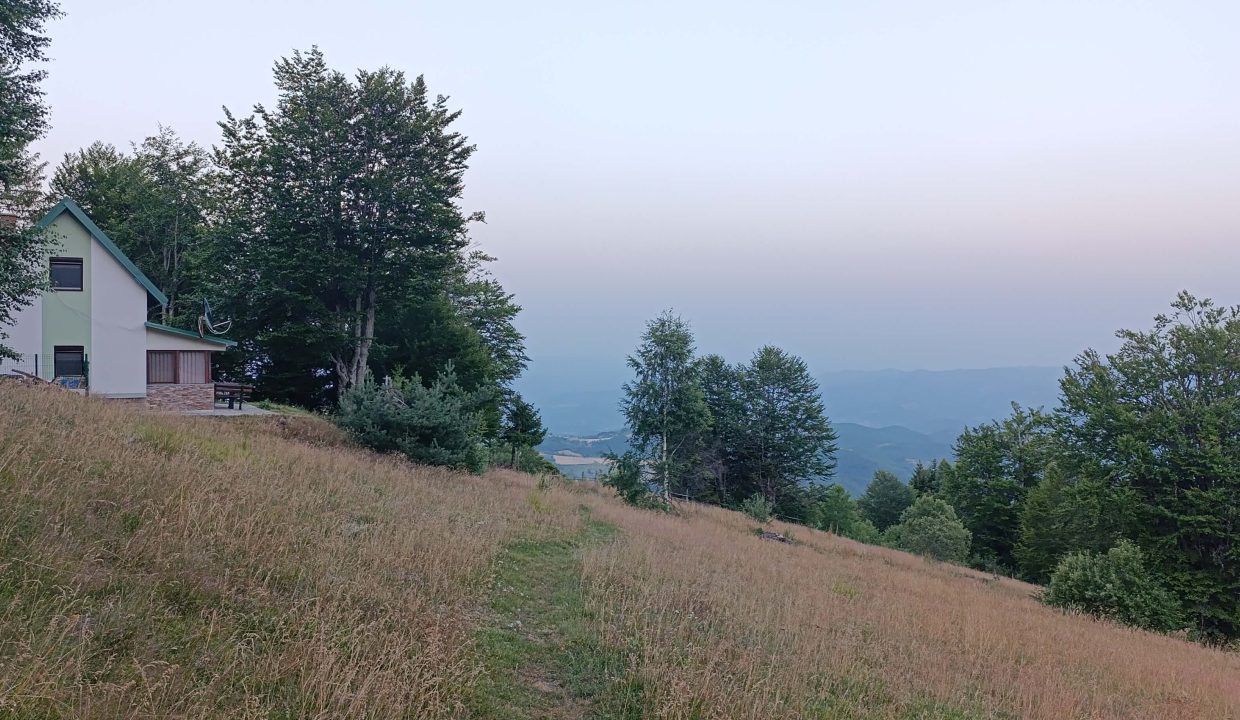 vikendica-golijski-vuk41