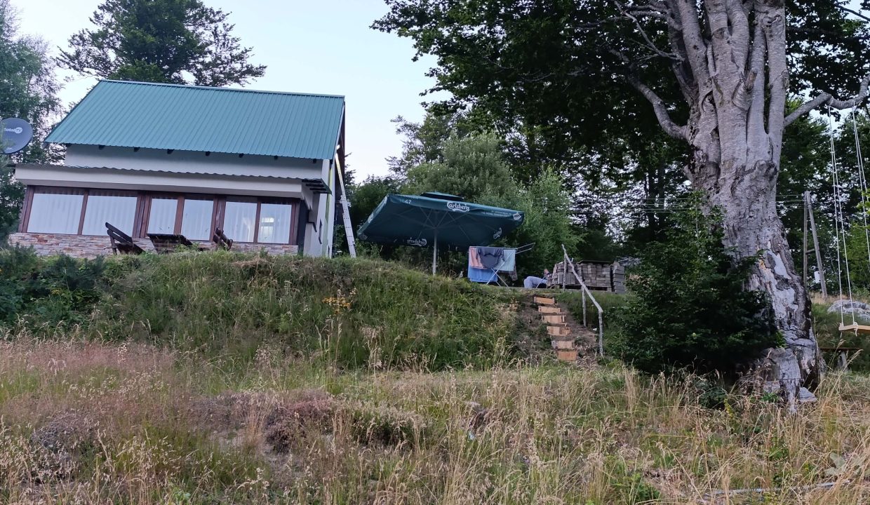 vikendica-golijski-vuk43