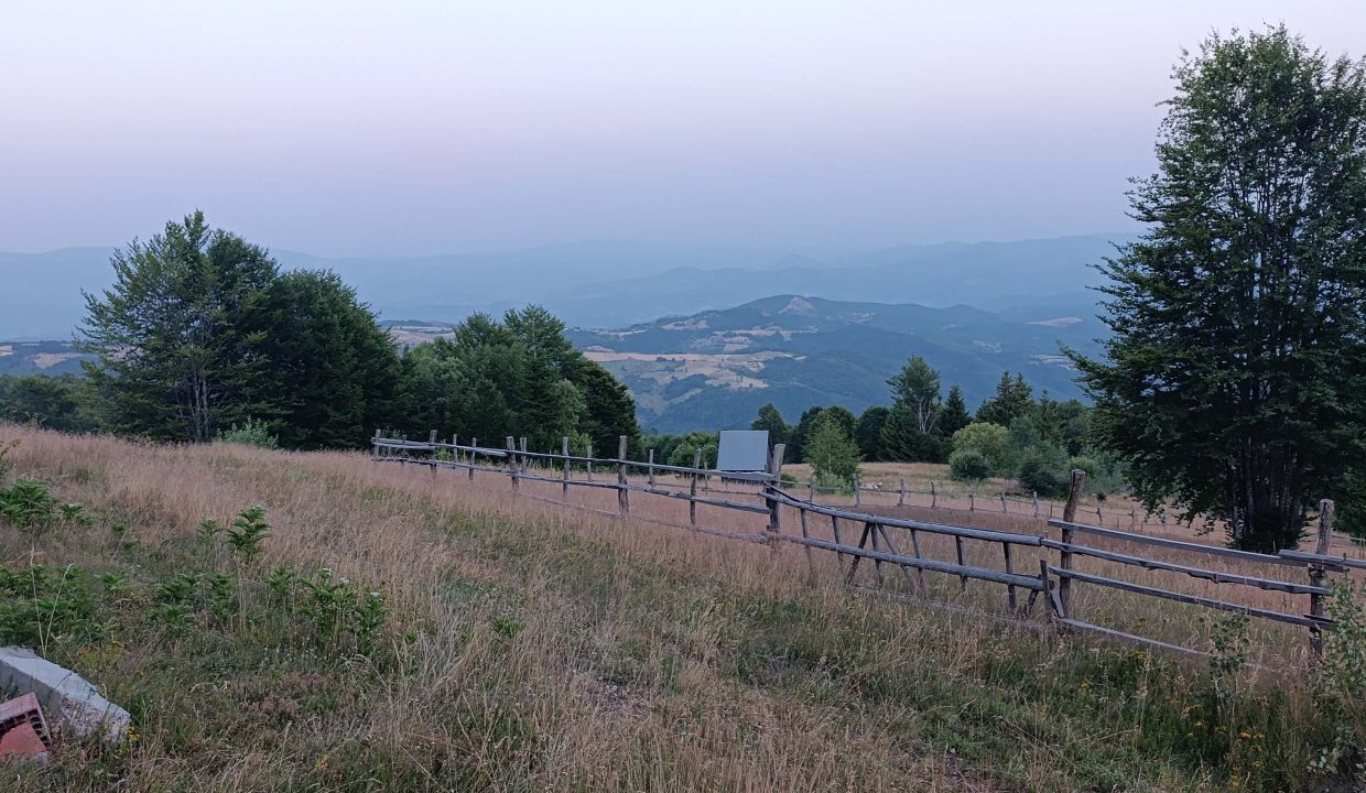 vikendica-golijski-vuk44