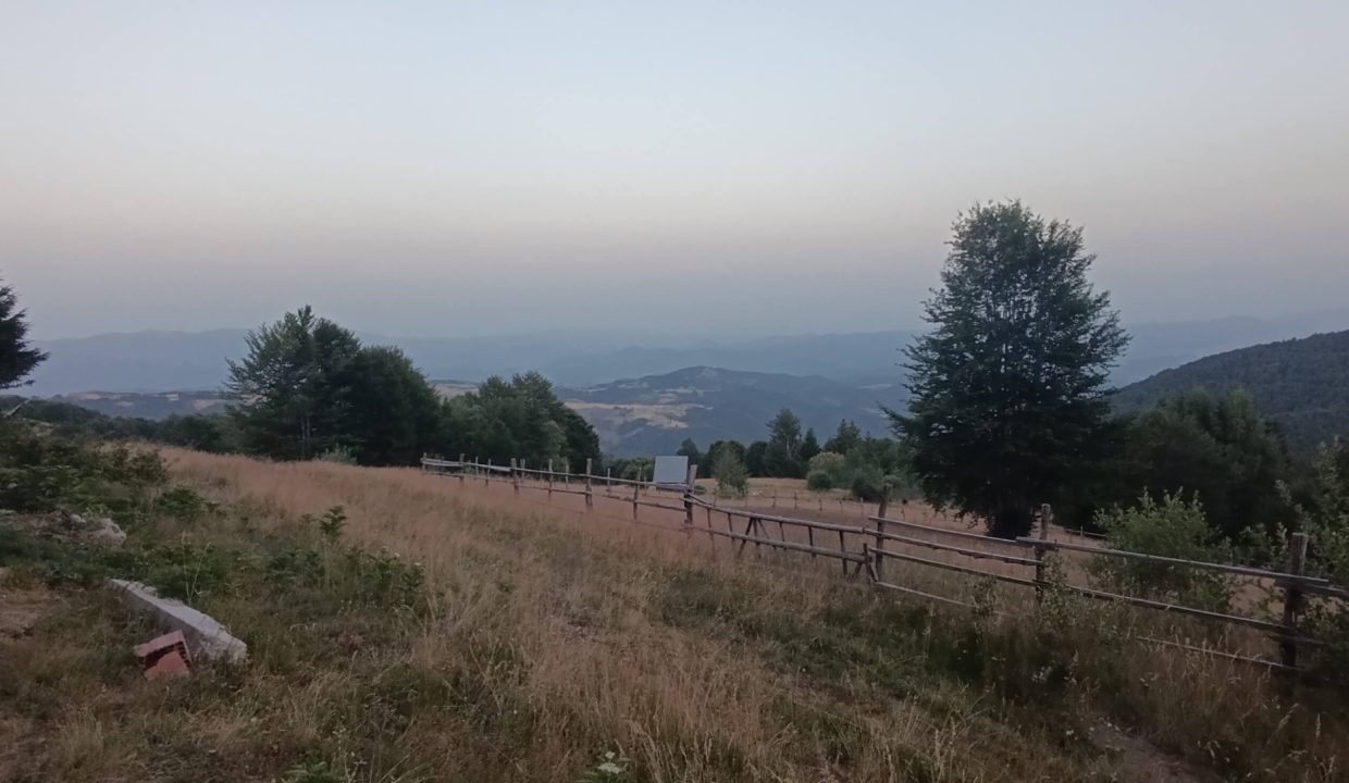 vikendica-golijski-vuk45