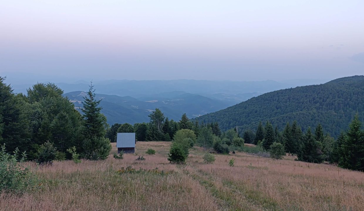 vikendica-golijski-vuk46