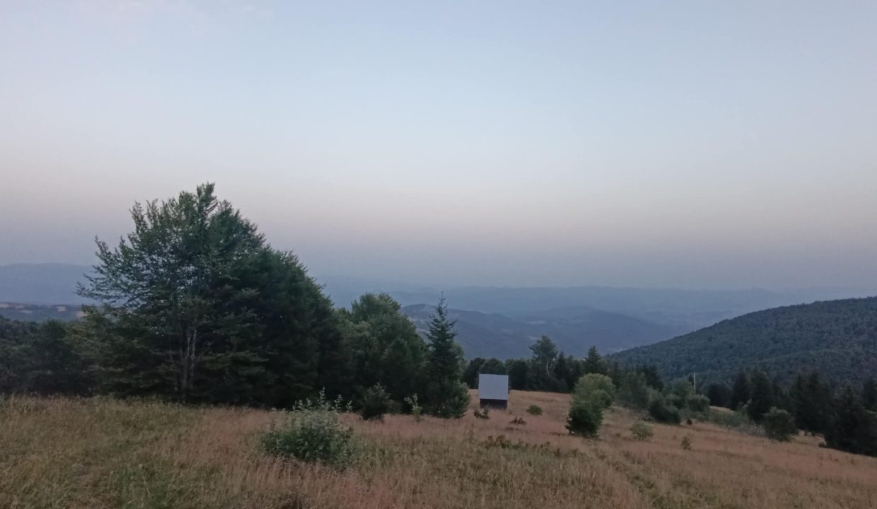 vikendica-golijski-vuk47