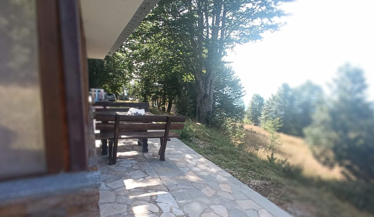 vikendica-golijski-vuk51